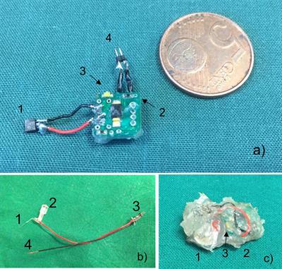 Development of a Fully Implantable Stimulator for Deep Brain Stimulation in Mice